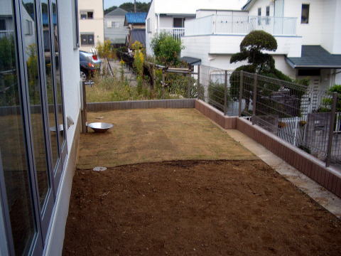 芝張り　シンボルツリー植栽