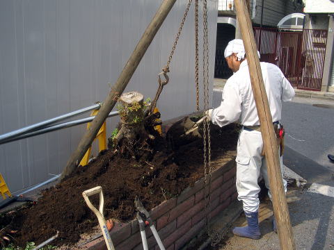 花壇リフォーム　伐根　除草　足立区