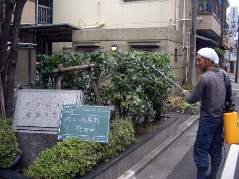 マンション管理　剪定・消毒