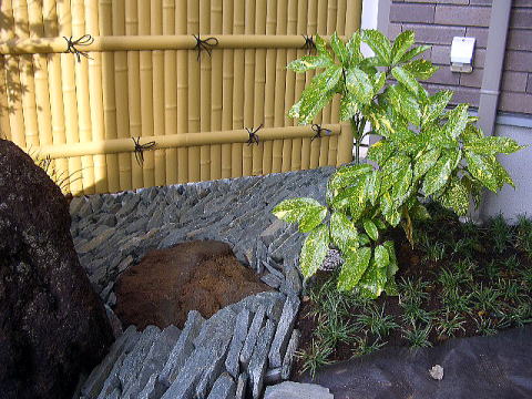 坪庭　枯山水　足立区