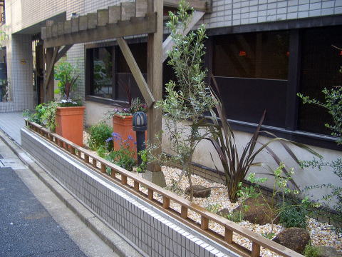 飲食店　植栽　イタリア　オリーブ