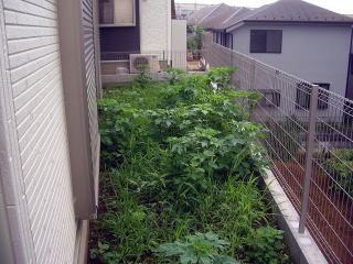 雑草対策　除草　防草シート敷き