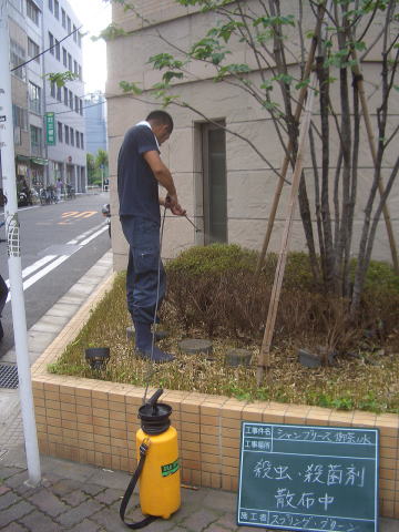 マンション管理　剪定　消毒