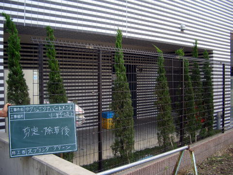 マンション管理　剪定　除草　消毒