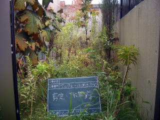 マンション　剪定　除草　薬剤散布