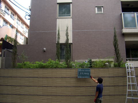 マンション　剪定　除草　薬剤散布