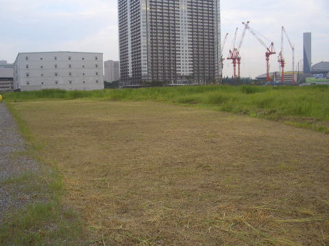 東京ｵﾘﾝﾋﾟｯｸ選手村　イベント　除草