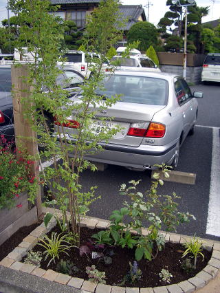 狭い花壇、玄関脇に１㎡植栽セット